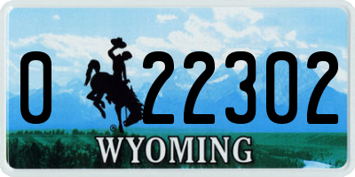 WY license plate 022302