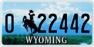 WY license plate 022442