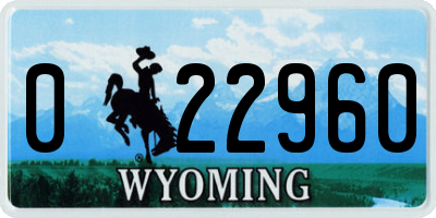WY license plate 022960