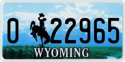 WY license plate 022965