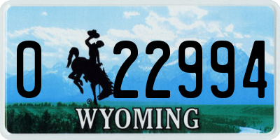 WY license plate 022994