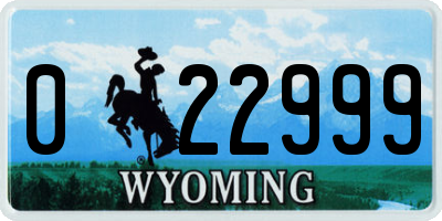 WY license plate 022999