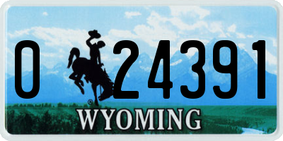 WY license plate 024391