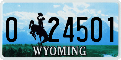 WY license plate 024501