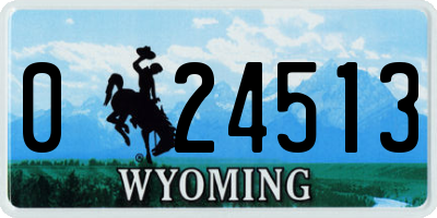 WY license plate 024513