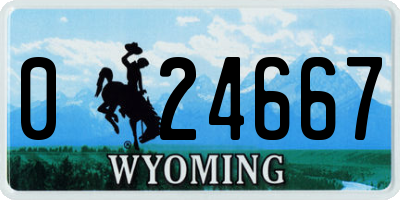 WY license plate 024667