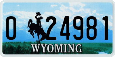 WY license plate 024981