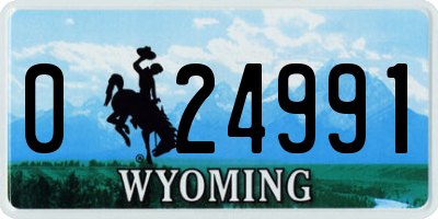 WY license plate 024991