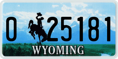 WY license plate 025181