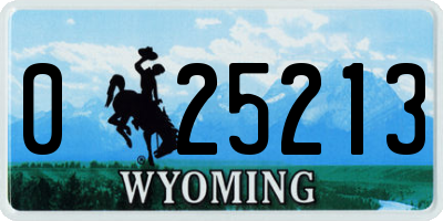 WY license plate 025213