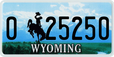 WY license plate 025250