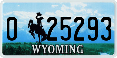 WY license plate 025293