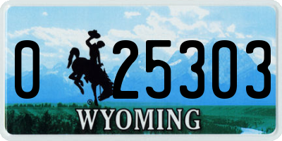 WY license plate 025303