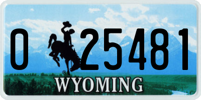 WY license plate 025481