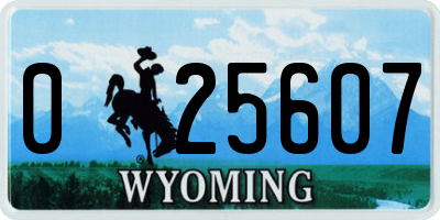 WY license plate 025607