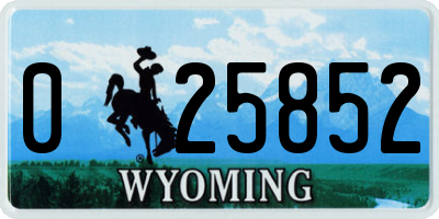 WY license plate 025852