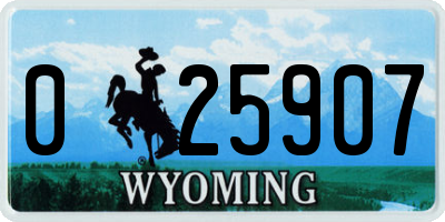 WY license plate 025907