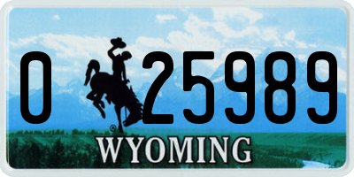 WY license plate 025989