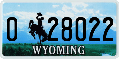 WY license plate 028022