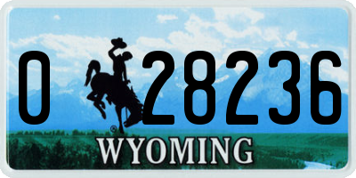 WY license plate 028236