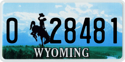 WY license plate 028481