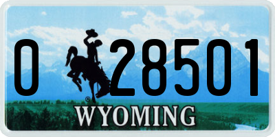 WY license plate 028501
