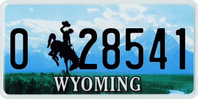 WY license plate 028541