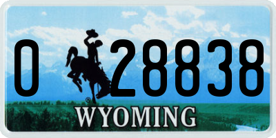 WY license plate 028838