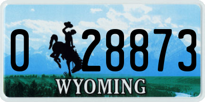 WY license plate 028873