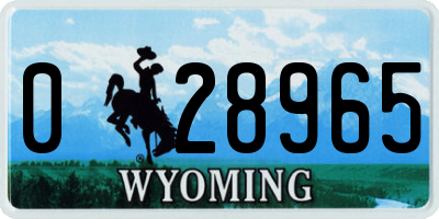 WY license plate 028965