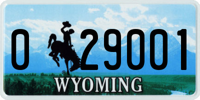 WY license plate 029001