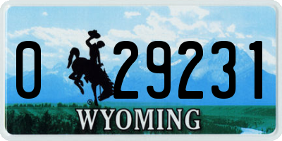 WY license plate 029231