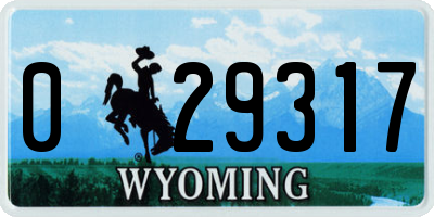 WY license plate 029317