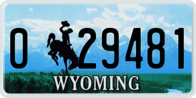 WY license plate 029481