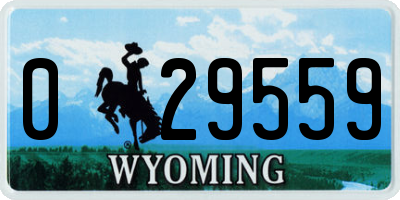 WY license plate 029559