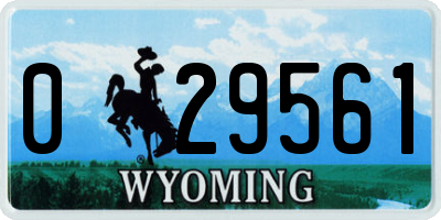 WY license plate 029561