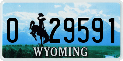 WY license plate 029591