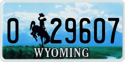 WY license plate 029607