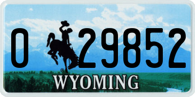 WY license plate 029852
