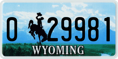 WY license plate 029981