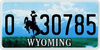 WY license plate 030785