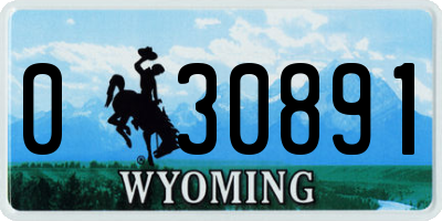 WY license plate 030891