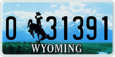 WY license plate 031391