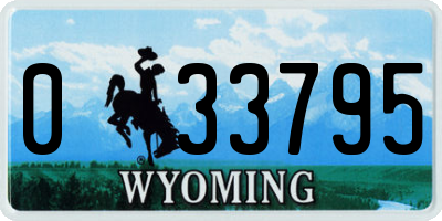 WY license plate 033795
