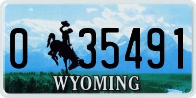 WY license plate 035491