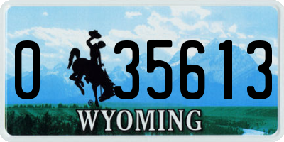 WY license plate 035613