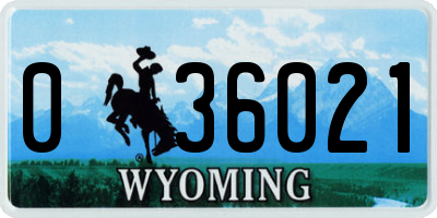 WY license plate 036021