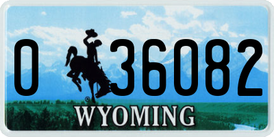 WY license plate 036082