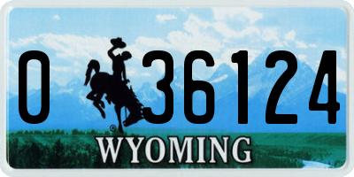 WY license plate 036124