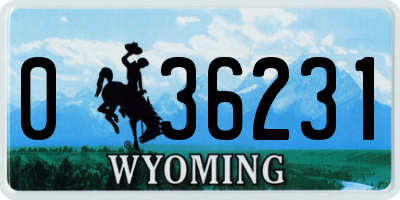 WY license plate 036231